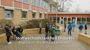 Animiertes Vorschaubild für Stoffwechselkrankheit Diabetes