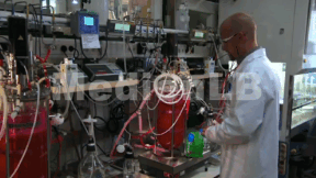 Animiertes Vorschaubild für Biotechnology III