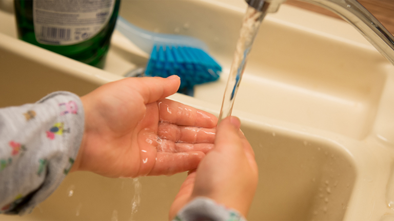 Vorschaubild für Hygiene