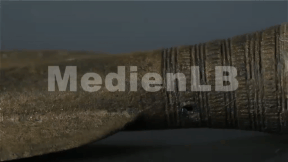 Animiertes Vorschaubild für Bronze Age