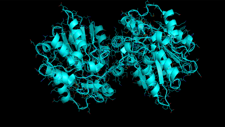 Vorschaubild für Enzyme