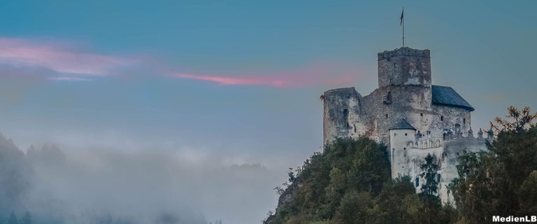 Vorschaubild für Medieval Castle