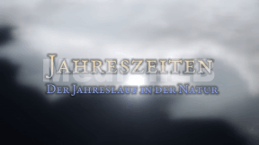 Animiertes Vorschaubild für Jahreszeiten