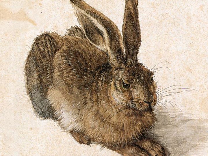 Vorschaubild für Albrecht Dürer33