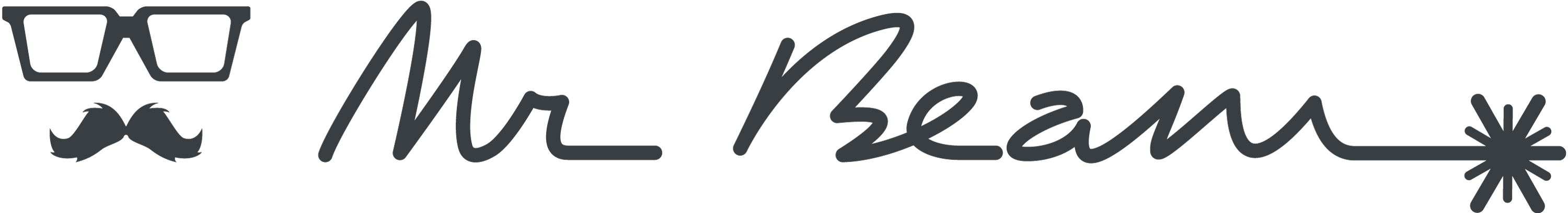 Logo of partner Mr Beam