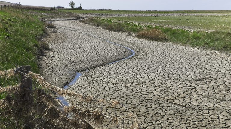 Vorschaubild für Wasserknappheit