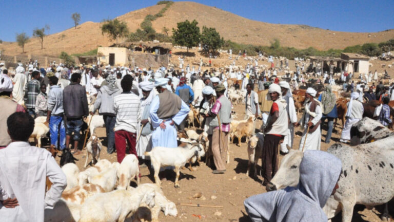 Vorschaubild für Vertretungsstunde Geografie, Deutsch - Eritrea
