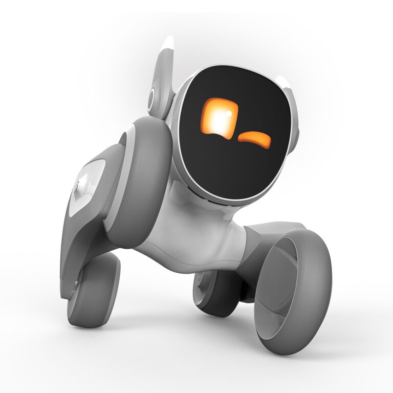 Vorschaubild für Petbot „Loona“