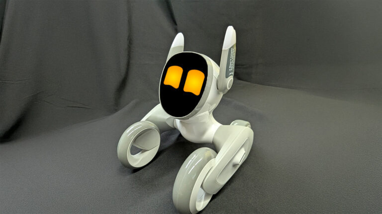 Vorschaubild für Loona Petbot