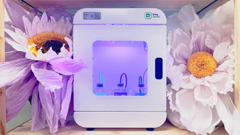 Vorschaubild für tiny farm