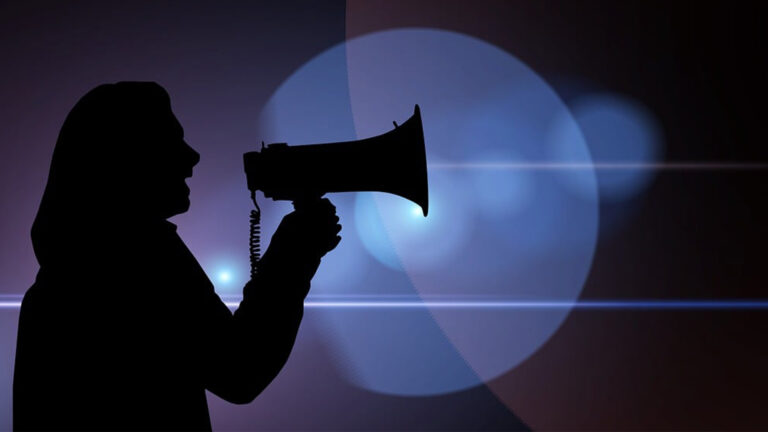 Vorschaubild für Desinformation