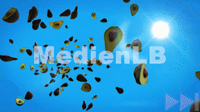 Animiertes Vorschaubild für Avocado
