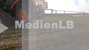 Animiertes Vorschaubild für Rebhuhn