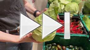 Animiertes Vorschaubild für Blattkohl