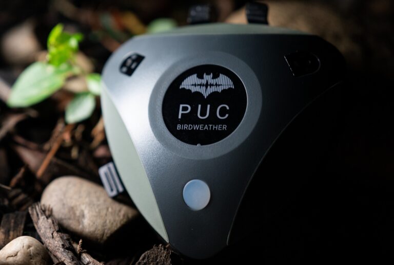 Vorschaubild für BirdWeather PUC – Bat Edition