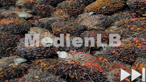 Animiertes Vorschaubild für Palmöl